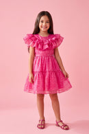 Barbie Hot Pink Lace Ruffled Party Dress BAF205