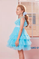 Barbie Sky Blue Tulle Layered Party Dress BAF232