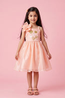 Barbie Peach Floral Shimmer Party Frock BAF310