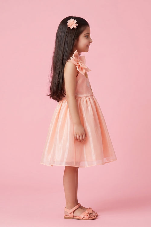 Barbie Peach Floral Shimmer Party Frock BAF310