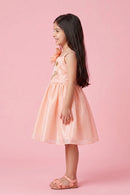 Barbie Peach Floral Shimmer Party Frock BAF310