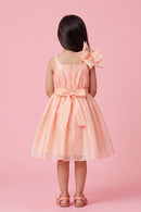 Barbie Peach Floral Shimmer Party Frock BAF310
