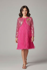 Barbie Girl Girls Party Dress Pink Solid Satin Winter Wear