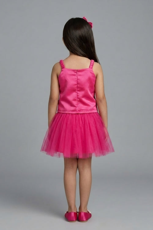 Barbie Hot Pink Net Dress BASET322