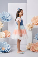 Barbie Girl Tulle Pastel Party Dress BAF247