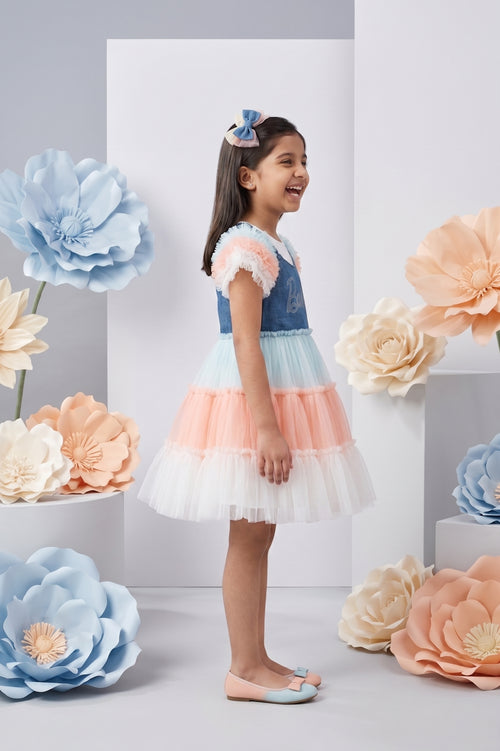 Barbie Girl Tulle Pastel Party Dress BAF247