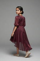 Tiny Girl Girls Party Dress Wine Solid Satin Winter Wear