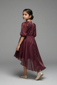 Tiny Girl Girls Party Dress Wine Solid Satin Winter Wear