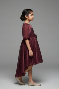 Tiny Girl Girls Party Dress Wine Solid Satin Winter Wear