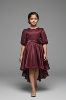 Tiny Girl Girls Party Dress Wine Solid Satin Winter Wear