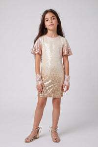 Gold Ombre Sequin Party Dress M1806