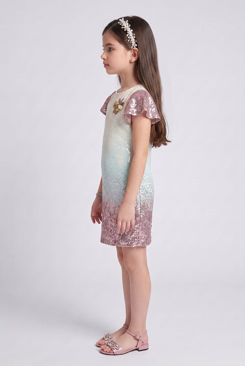 Onion Pink Ombre Sequin Party Dress M1806