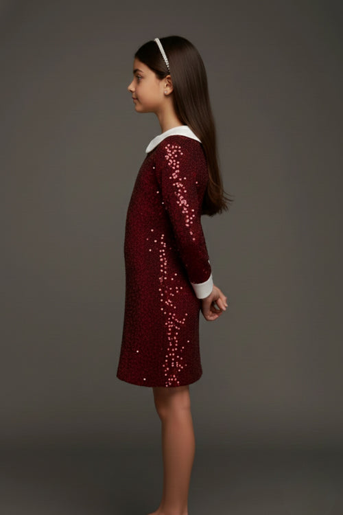 Maroon Solid Shimmer Party Dress M2488