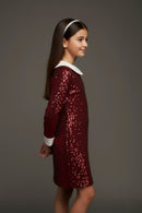 Maroon Solid Shimmer Party Dress M2488