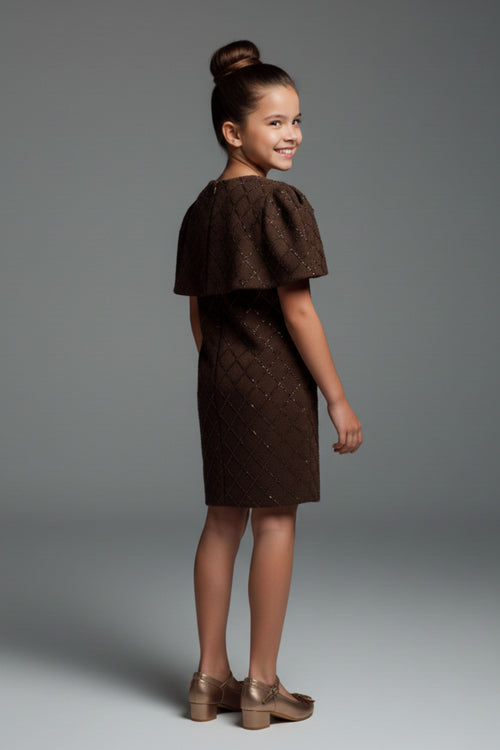 Brown Solid Knitted Dress M2507