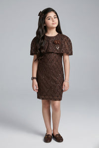 Brown Solid Knitted Dress M2507