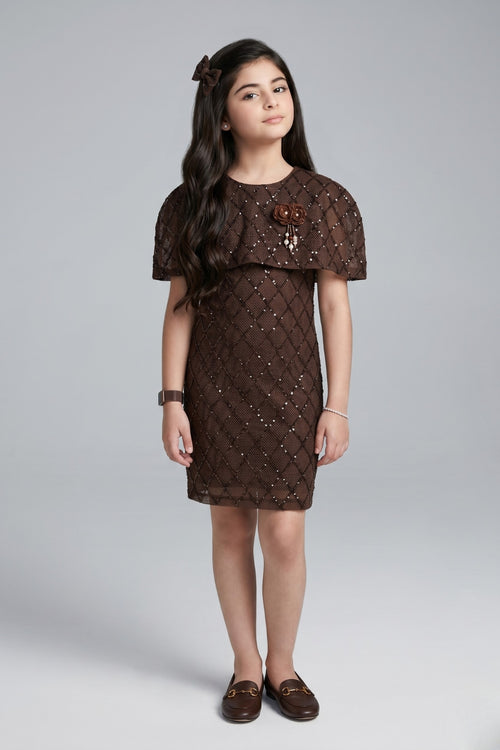 Brown Solid Knitted Dress M2507
