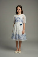 Girls Blue Floral Mesh Dress M2575