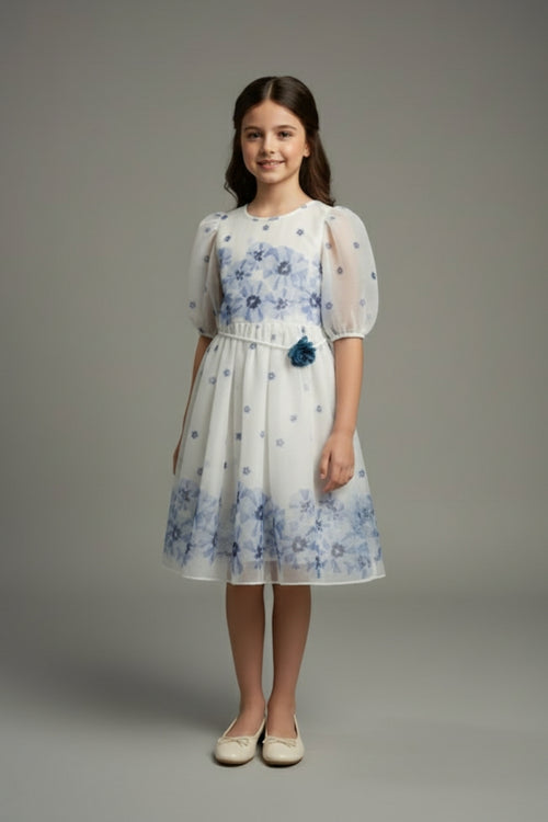 Girls Blue Floral Mesh Dress M2575