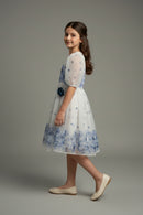Girls Blue Floral Mesh Dress M2575