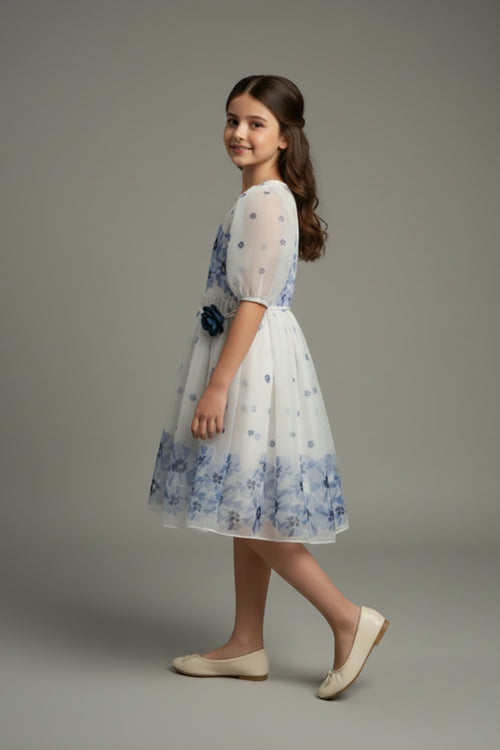 Girls Blue Floral Mesh Dress M2575