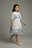 Girls Blue Floral Mesh Dress M2575