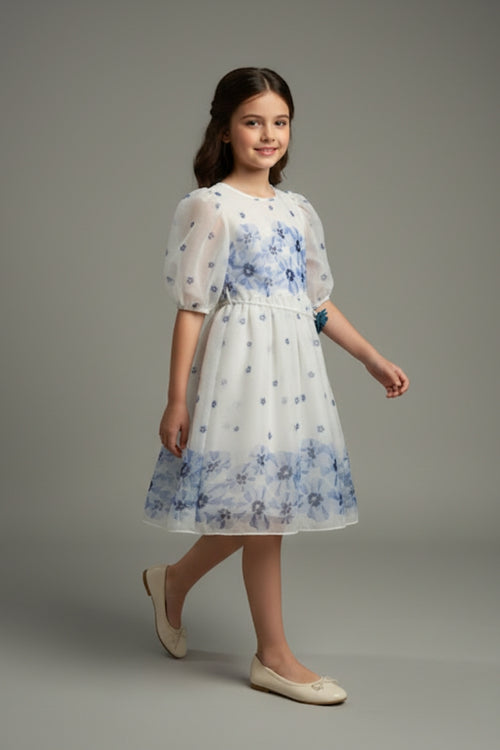 Girls Blue Floral Mesh Dress M2575