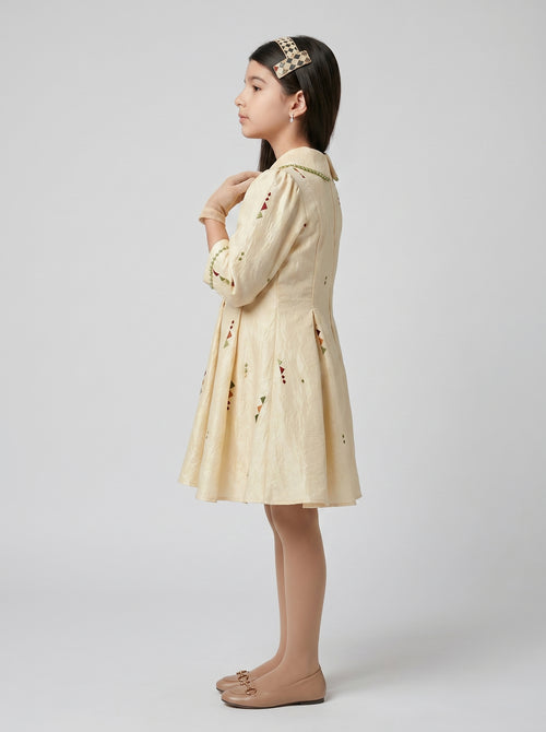 Cream Embroidered Peter Pan Collar Fit & Flare Dress M2683