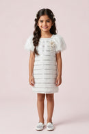 Ivory Sequin Textured Dress with Feather Sleeves M2242