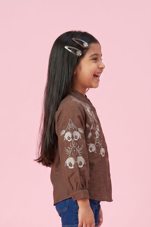 Brown Embroidered Top TG6528