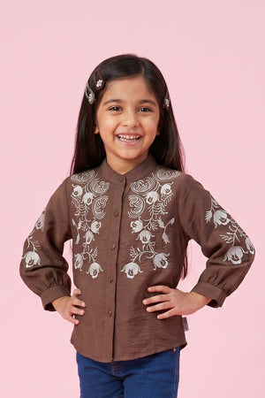 Brown Embroidered Top TG6528