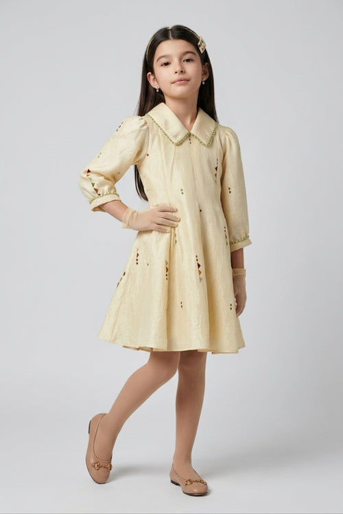 Cream Embroidered Peter Pan Collar Fit & Flare Dress M2683