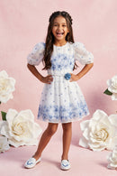 Girls Blue Floral Mesh Dress M2575