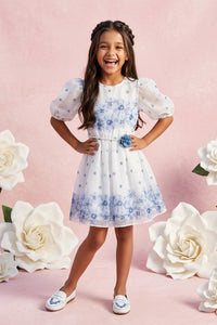 Girls Blue Floral Mesh Dress M2575